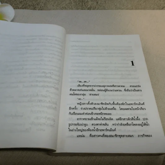 จับตายวายร้ายสายสมร - ณรงค์ภูมินทร์ เรียบเรียง จากบทละครของ วิลักษณา รูปที่ 11