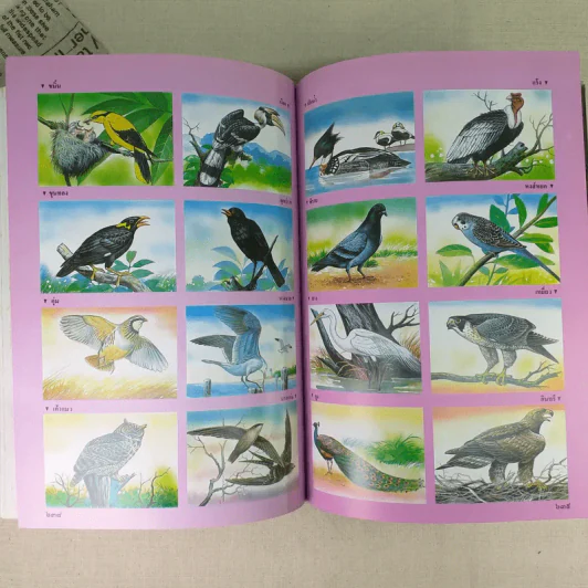 พจนานุกรมฉบับเฉลิมพระเกียรติ พ.ศ.2530 รูปที่ 15