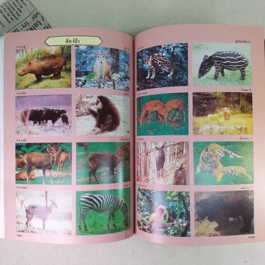 พจนานุกรมฉบับเฉลิมพระเกียรติ พ.ศ.2530 รูปที่ 16