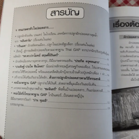 ผัก ปลอดสารพิษ ทำได้ รายได้งาม รูปที่ 10