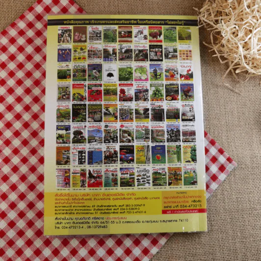 ผัก ปลอดสารพิษ ทำได้ รายได้งาม รูปที่ 2
