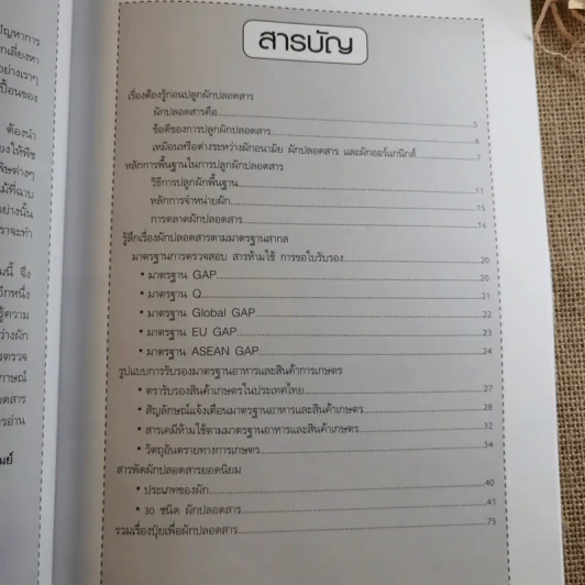 ผัก ปลอดสารพิษ ทำได้ รายได้งาม รูปที่ 9