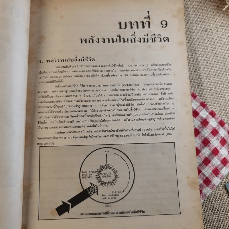 ชีววิทยา ม.5 เล่ม 3 ว042 - สมาน แก้วไวยุทธ รูปที่ 11