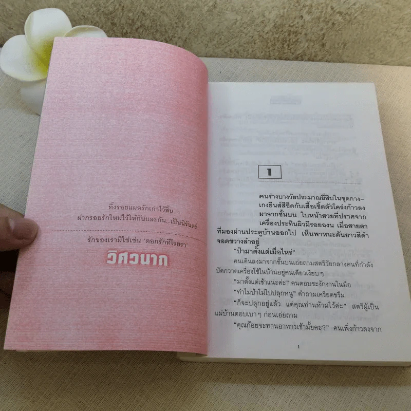 ดอกรักที่โรยรา - วิศวนาถ รูปที่ 8