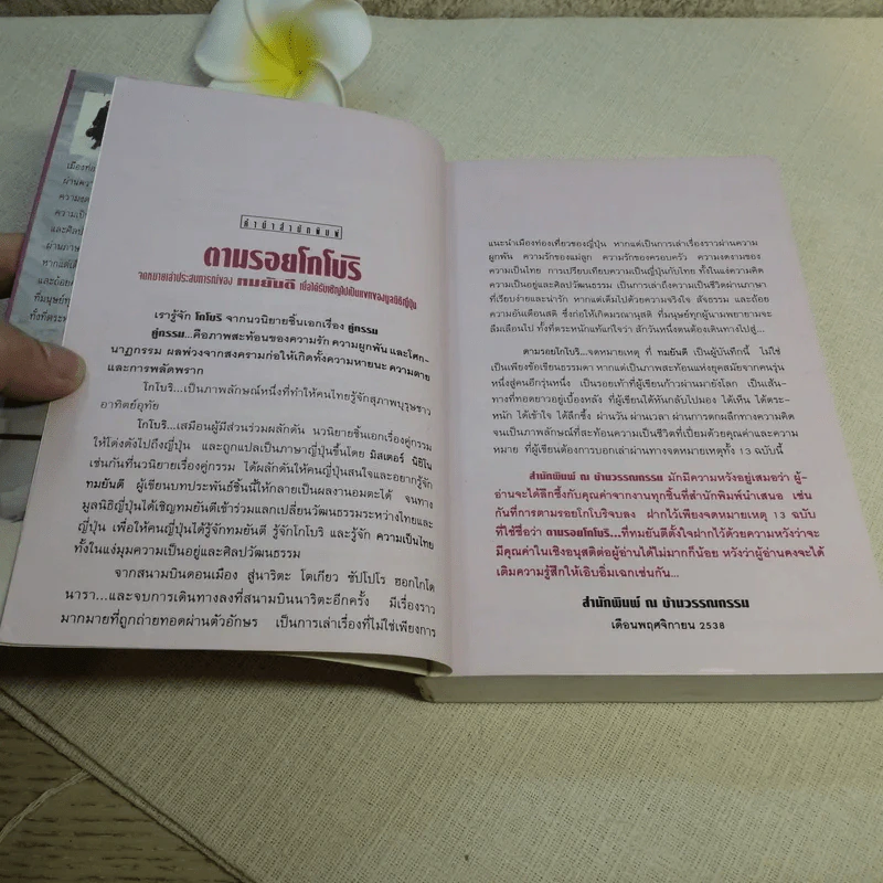 ตามรอยโกโบริ - ทมยันตี รูปที่ 12