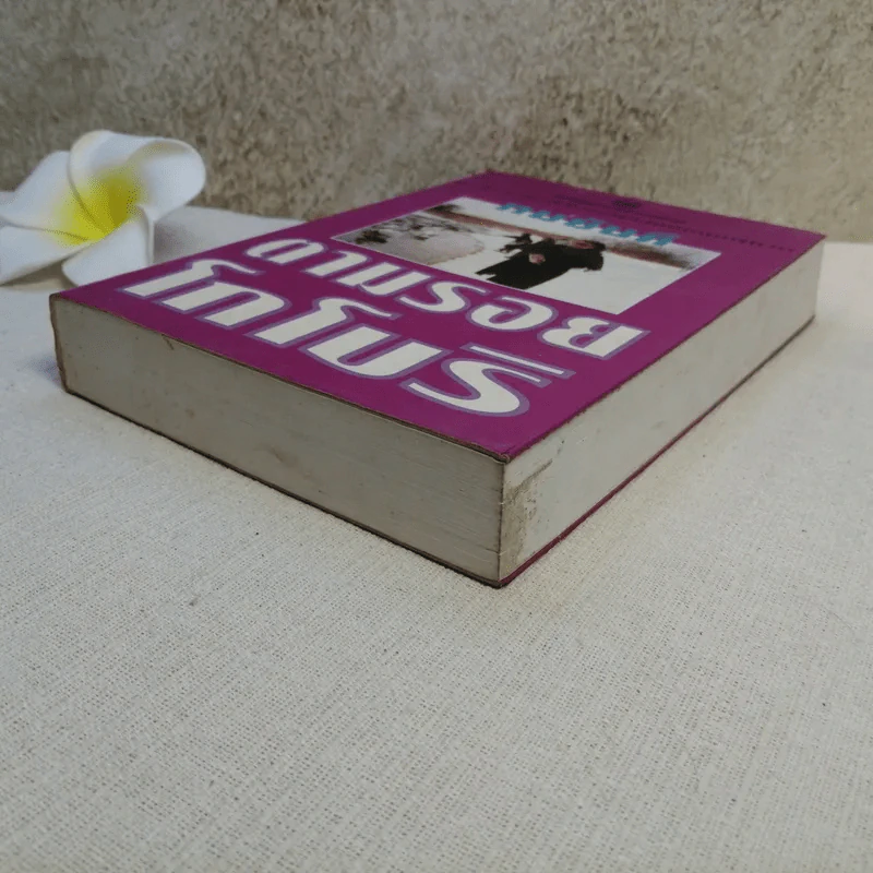 ตามรอยโกโบริ - ทมยันตี รูปที่ 6