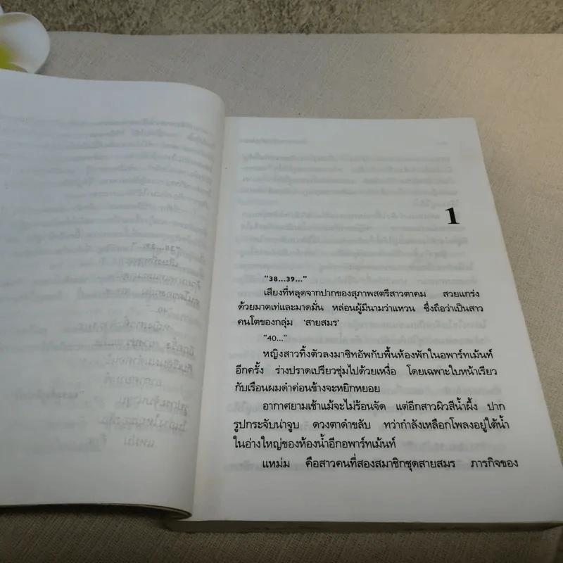 จับตายวายร้ายสายสมร - ณรงค์ภูมินทร์ เรียบเรียง จากบทละครของ วิลักษณา รูปที่ 11