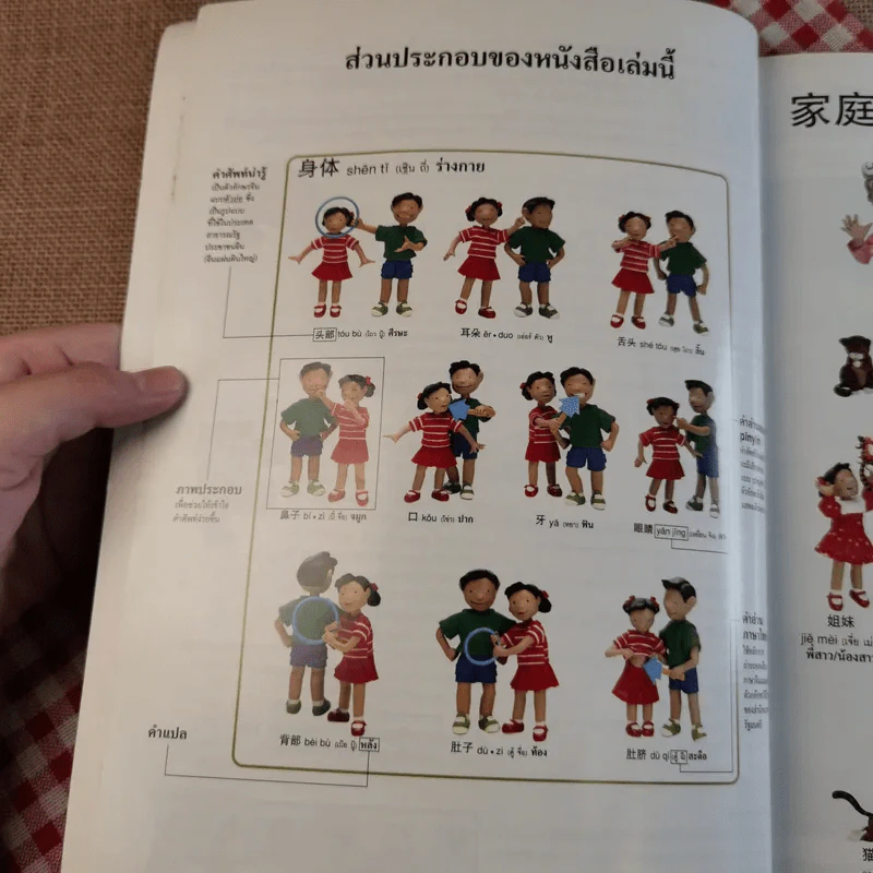 สนุกกับศัพท์จีนในชีวิตประจำวัน รูปที่ 12
