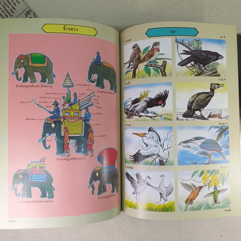 พจนานุกรมฉบับเฉลิมพระเกียรติ พ.ศ.2530 รูปที่ 14