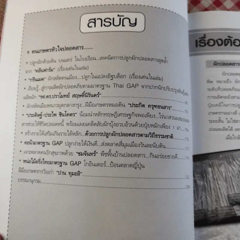 ผัก ปลอดสารพิษ ทำได้ รายได้งาม รูปที่ 10