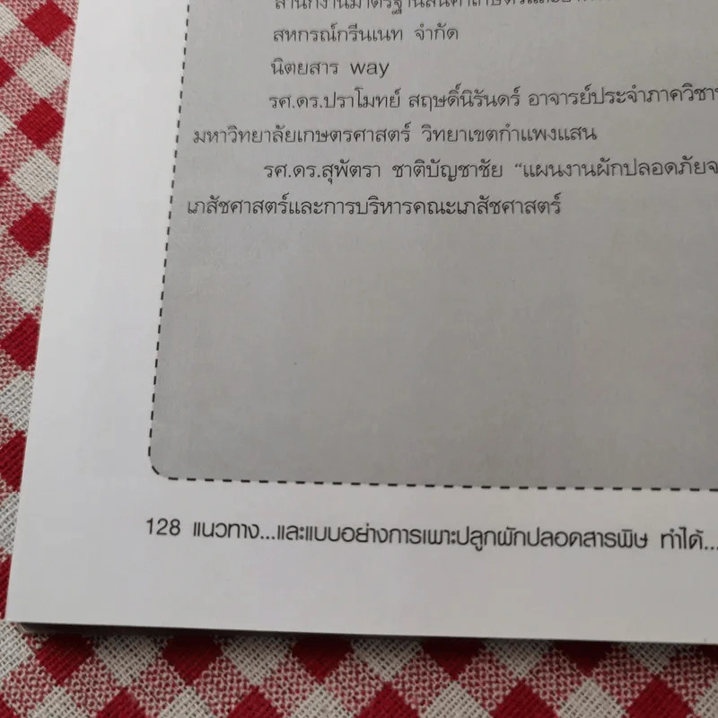 ผัก ปลอดสารพิษ ทำได้ รายได้งาม รูปที่ 14
