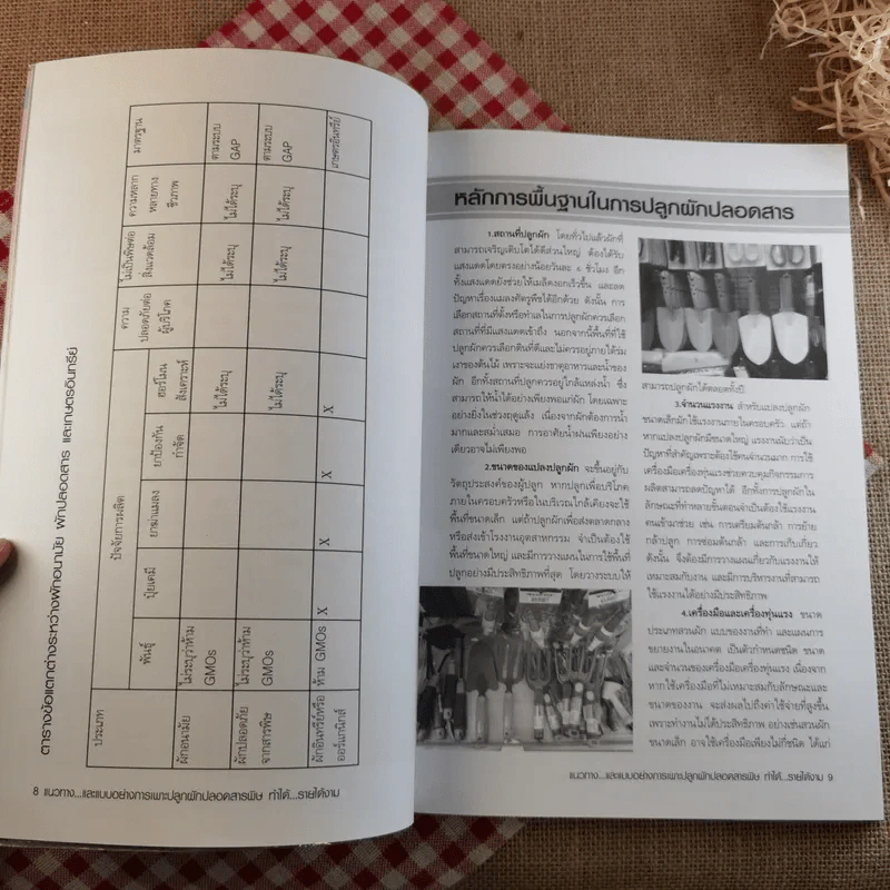 ผัก ปลอดสารพิษ ทำได้ รายได้งาม รูปที่ 13