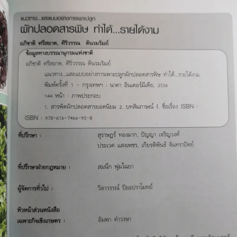 ผัก ปลอดสารพิษ ทำได้ รายได้งาม รูปที่ 7