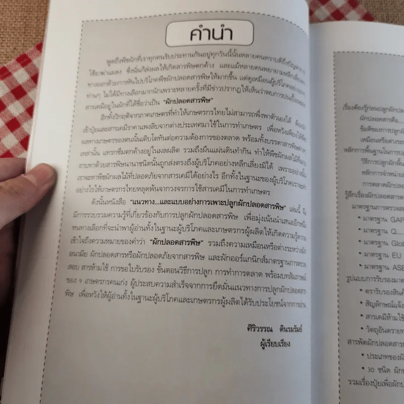 ผัก ปลอดสารพิษ ทำได้ รายได้งาม รูปที่ 8