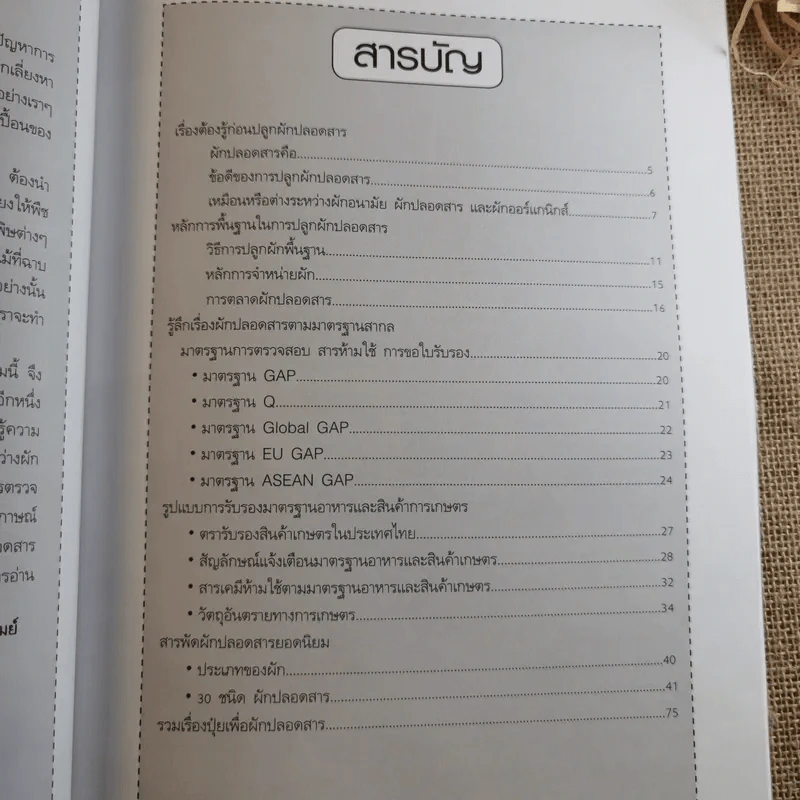 ผัก ปลอดสารพิษ ทำได้ รายได้งาม รูปที่ 9