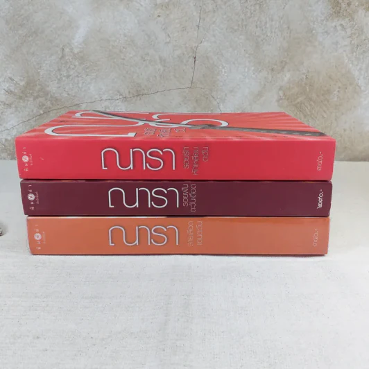 Rising Sun รอยรักหักเหลี่ยมตะวัน + สายเลือดแดนตะวัน + รอยฝันตะวันเดือด - ณารา รูปที่ 3