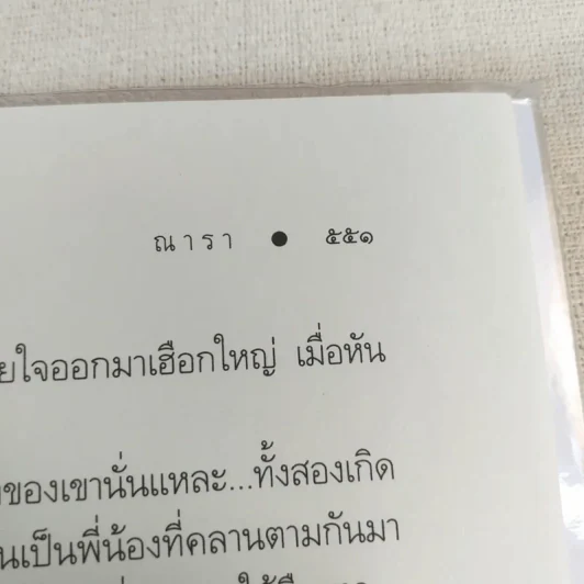 Rising Sun รอยรักหักเหลี่ยมตะวัน + สายเลือดแดนตะวัน + รอยฝันตะวันเดือด - ณารา รูปที่ 11