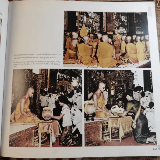 ร่มเกล้าชาวไทย รูปที่ 17