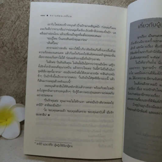 ทรายซ่อนเหลี่ยม - มุกเรียง รูปที่ 9