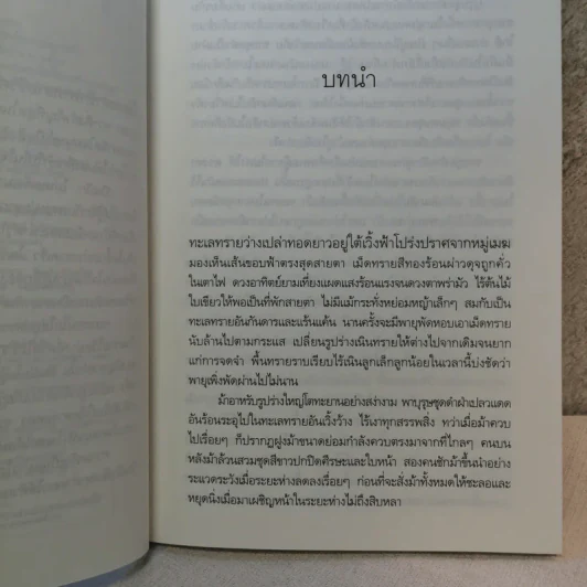 ทรายซ่อนเหลี่ยม - มุกเรียง รูปที่ 8