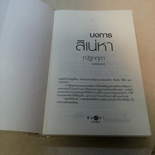 บงการสิเน่หา - ณัฐกฤตา (ฟองฟาง) รูปที่ 6