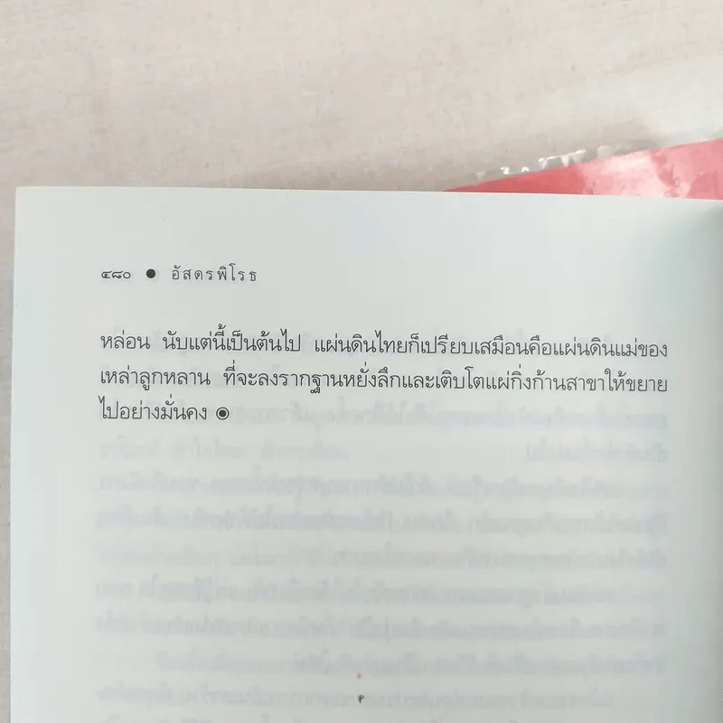 ชุดเลือดทระนง 3 เล่ม ได้แก่ ไฟรักมังกร + เพลิงพยัคฆ์ + อัสดงพิโรธ - ณารา รูปที่ 12