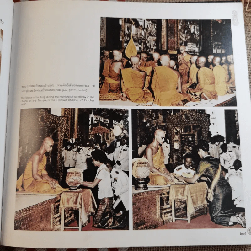 ร่มเกล้าชาวไทย รูปที่ 17