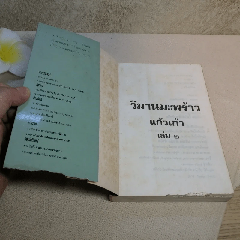 วิมานมะพร้าว เล่ม 2 - แก้วเก้า รูปที่ 6