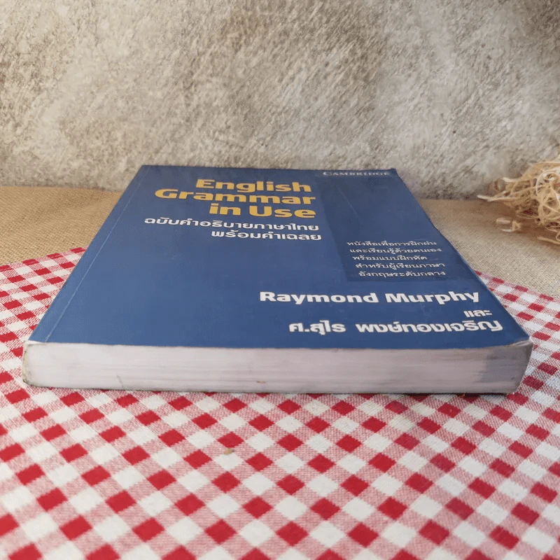English Grammar in Use ฉบับคำอธิบายภาษาไทยพร้อมคำเฉลย - Raymond Murphy และ ศ.สุไร พงษ์ทองเจริญ รูปที่ 12