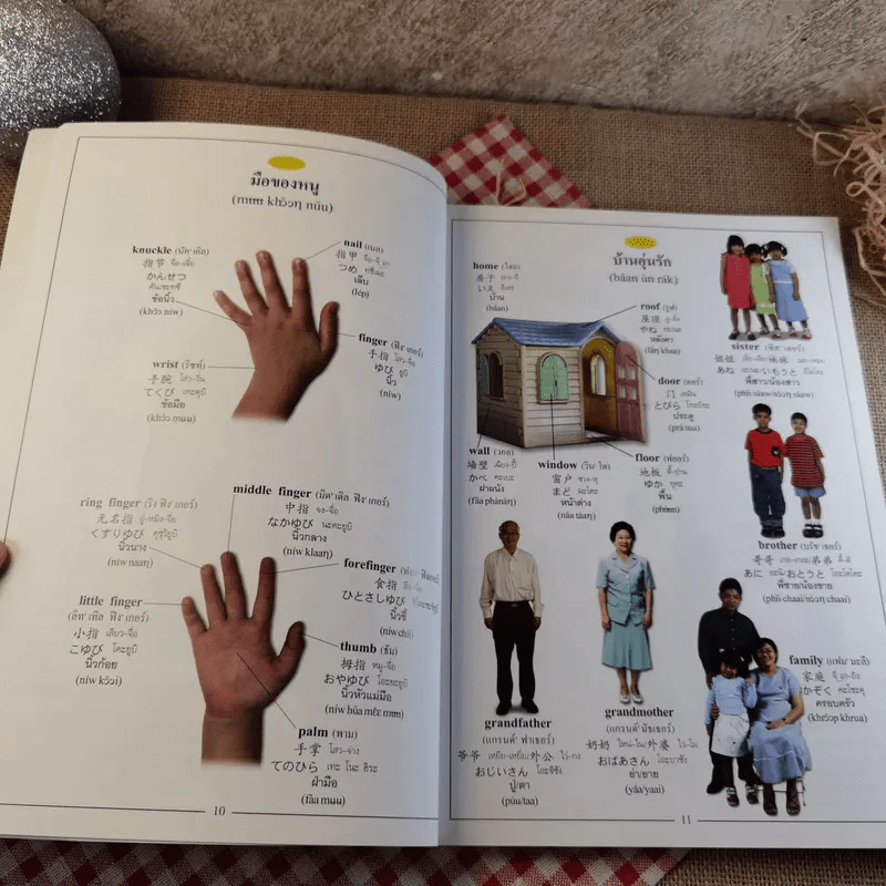 Picture Dictionary พจนานุกรมภาพอังกฤษ-จีน-ญี่ปุ่น-ไทย รูปที่ 13