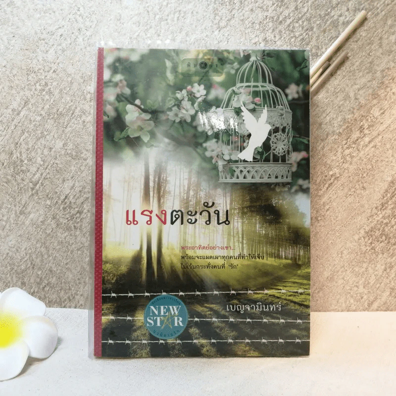 แรงตะวัน - เบญจามินทร์ รูปที่ 1