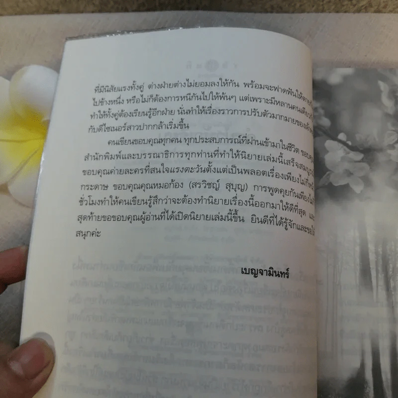แรงตะวัน - เบญจามินทร์ รูปที่ 9