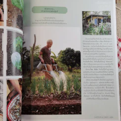 บ้านและสวน Garden & Farm สนุกกับสวนเกษตรอินทรีย์ รูปที่ 12