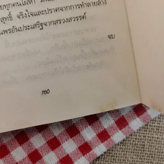 รอยรักในเมืองร้าง - จินตา แปล รูปที่ 11