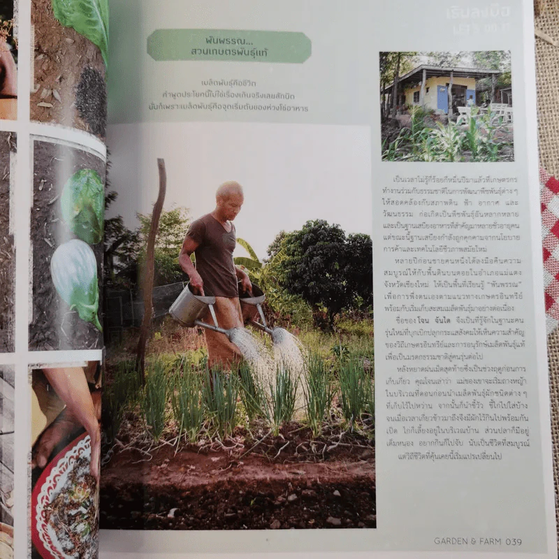 บ้านและสวน Garden & Farm สนุกกับสวนเกษตรอินทรีย์ รูปที่ 12