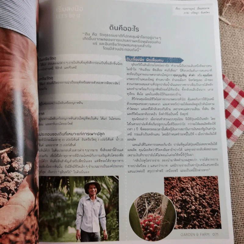 บ้านและสวน Garden & Farm สนุกกับสวนเกษตรอินทรีย์ รูปที่ 13