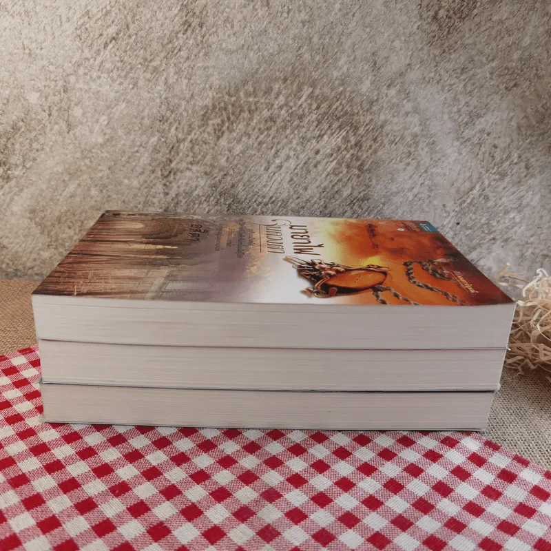 ซีรี่ส์อัญมณีเหนือกาล + ซีรี่ส์มนตราอัญมณี รวม 6 เล่ม รูปที่ 10
