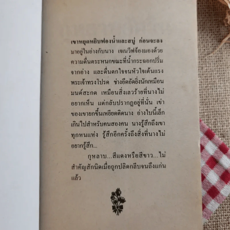 นิยายรัก 3 เล่ม 100 บาท ชุดที่ 20 รูปที่ 8