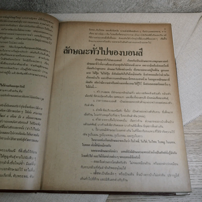 ตำนานบอนสี ราชินีแห่งไม้ประดับ + ตำนานบอนสีและโกสน - เจริญ สุขพงษ์ รูปที่ 13