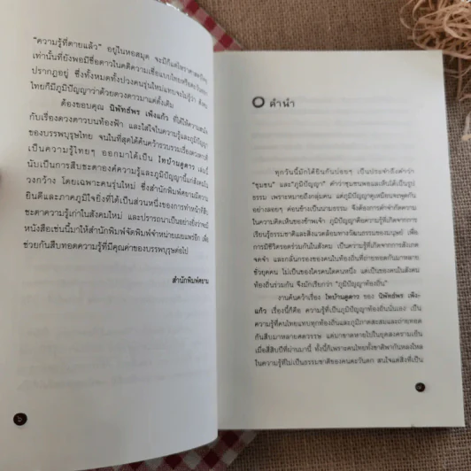 ไทบ้านดูดาว - นิพัทธ์พร เพ็งแก้ว รูปที่ 8