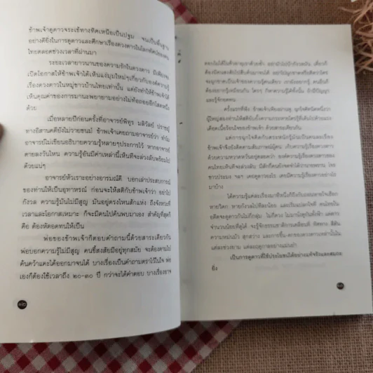 ไทบ้านดูดาว - นิพัทธ์พร เพ็งแก้ว รูปที่ 11