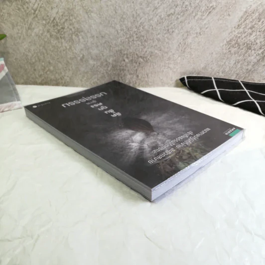 ลัด สั้น ถูก ตรง สู่การบรรลุธรรม - Camouflage รูปที่ 5