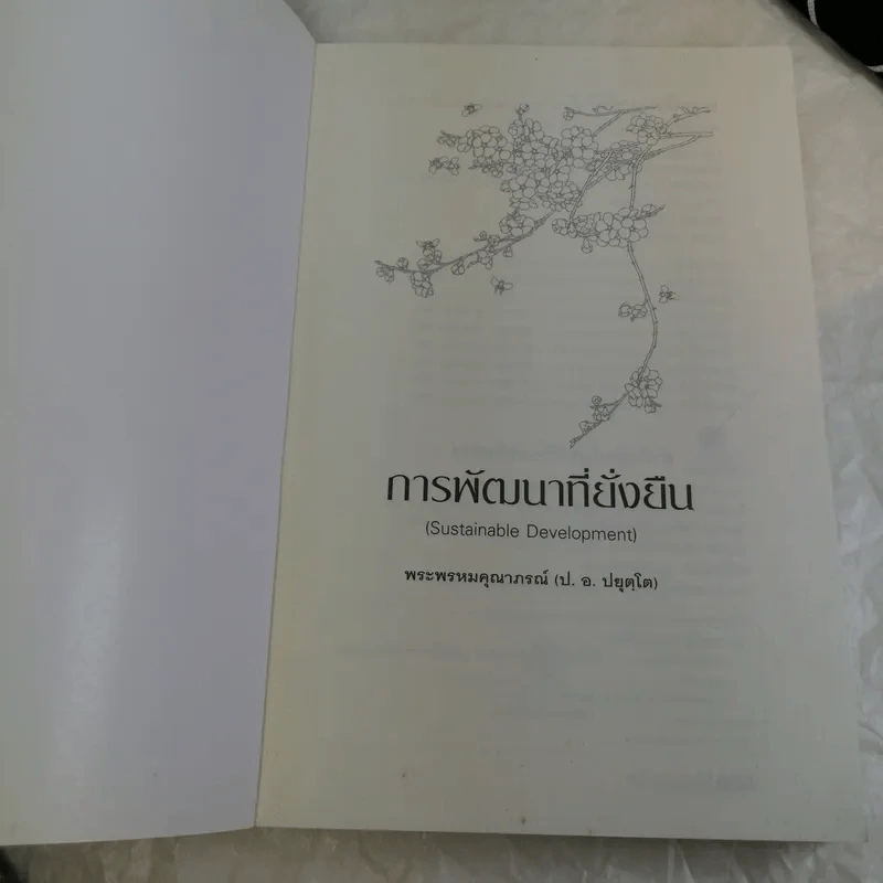 Sustainable Development ที่ยั่งยืนการพัฒนา - พระธรรมปิฎก (ป.อ.ปยุตโต) รูปที่ 6