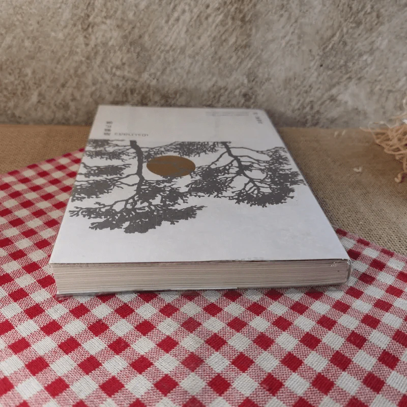 เยิรเงาสลัว : In Praise of Shadows - Junichiro Tanizaki (จุนอิชิโร ทานิซากิ) รูปที่ 5