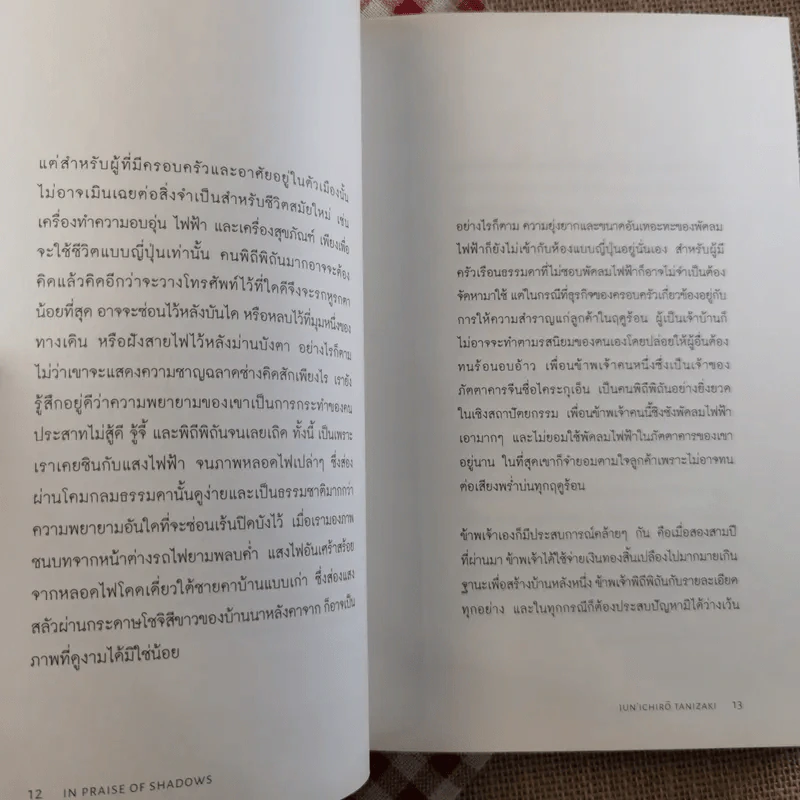 เยิรเงาสลัว : In Praise of Shadows - Junichiro Tanizaki (จุนอิชิโร ทานิซากิ) รูปที่ 9