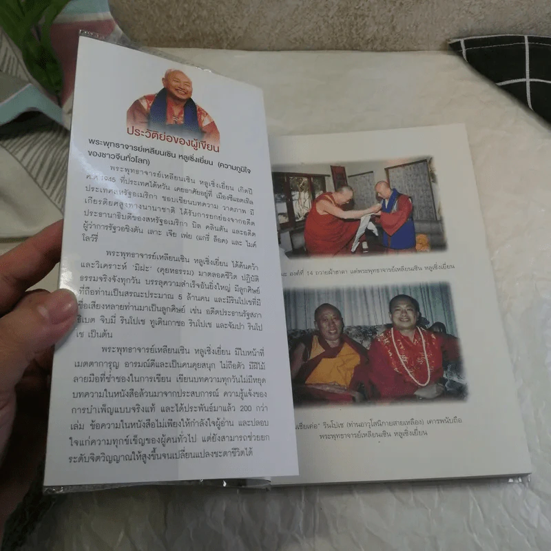 การนิรมิตแห่งนรก - พระพุทธาจารย์เหลียงเซิน หลูเซิ่งเยี่ยน รูปที่ 6