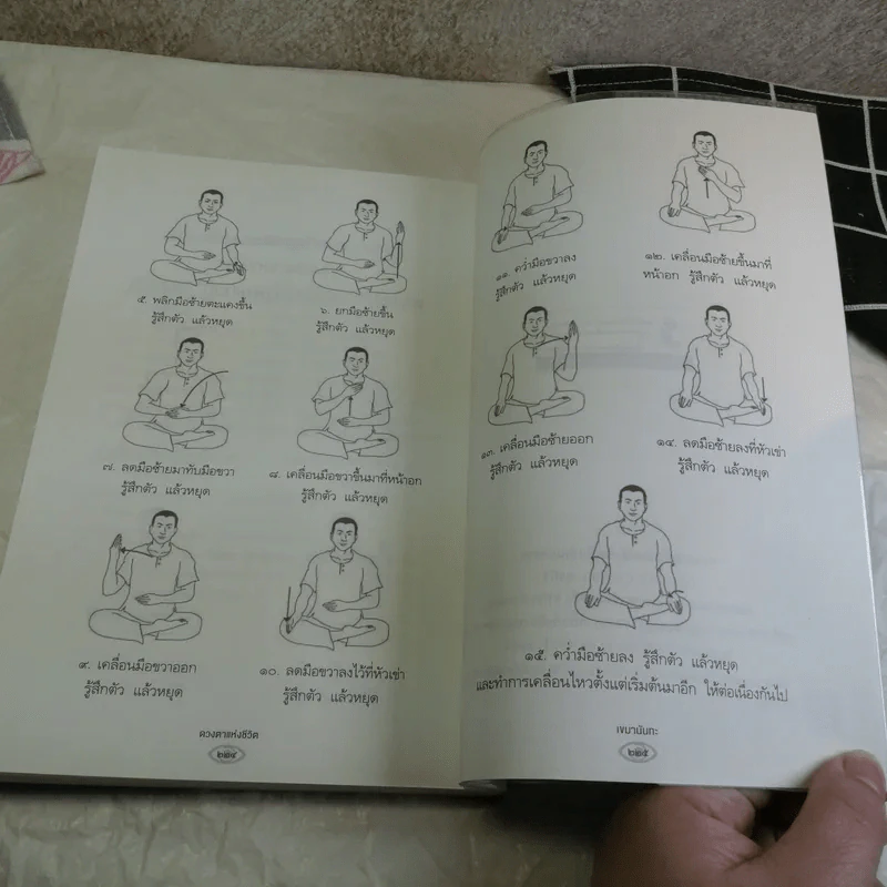 ดวงตาแห่งชีวิต - เขมานันทะ รูปที่ 8