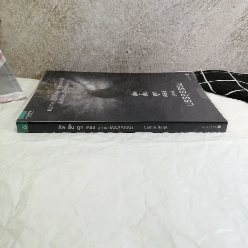 ลัด สั้น ถูก ตรง สู่การบรรลุธรรม - Camouflage รูปที่ 2