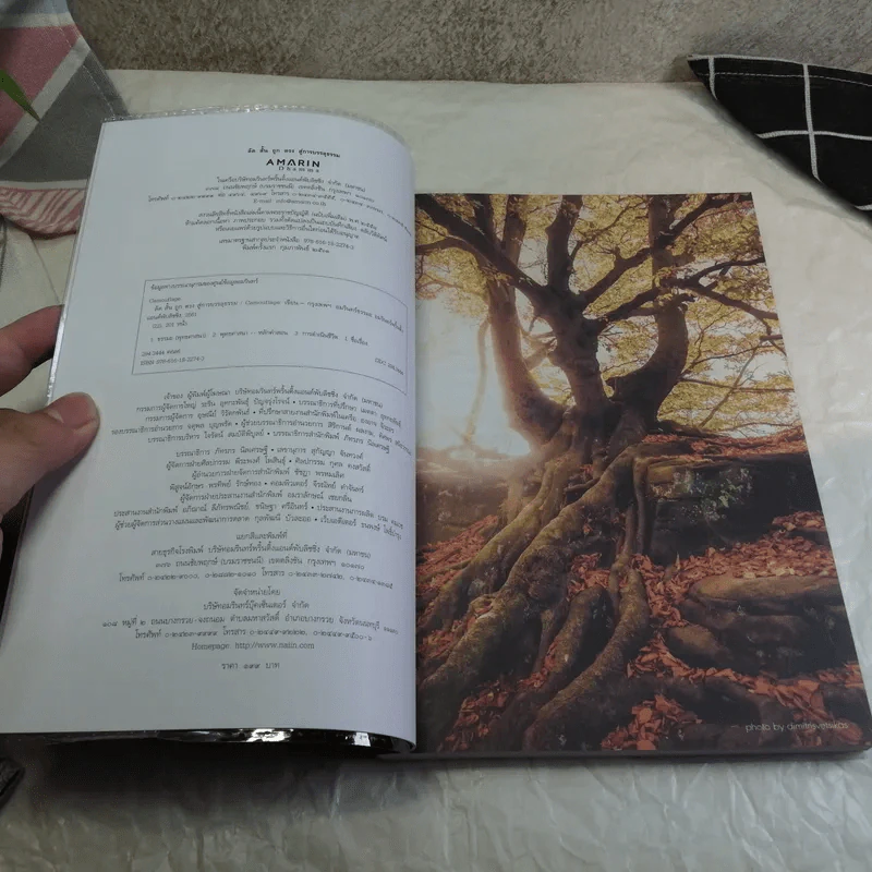 ลัด สั้น ถูก ตรง สู่การบรรลุธรรม - Camouflage รูปที่ 9