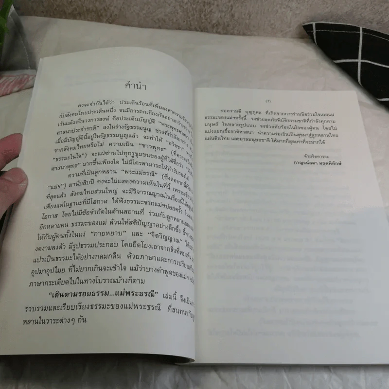เดินตามรอยธรรมแม่พระธรณี - กาญจน์ลดา มฤคพิทักษ์ รูปที่ 8